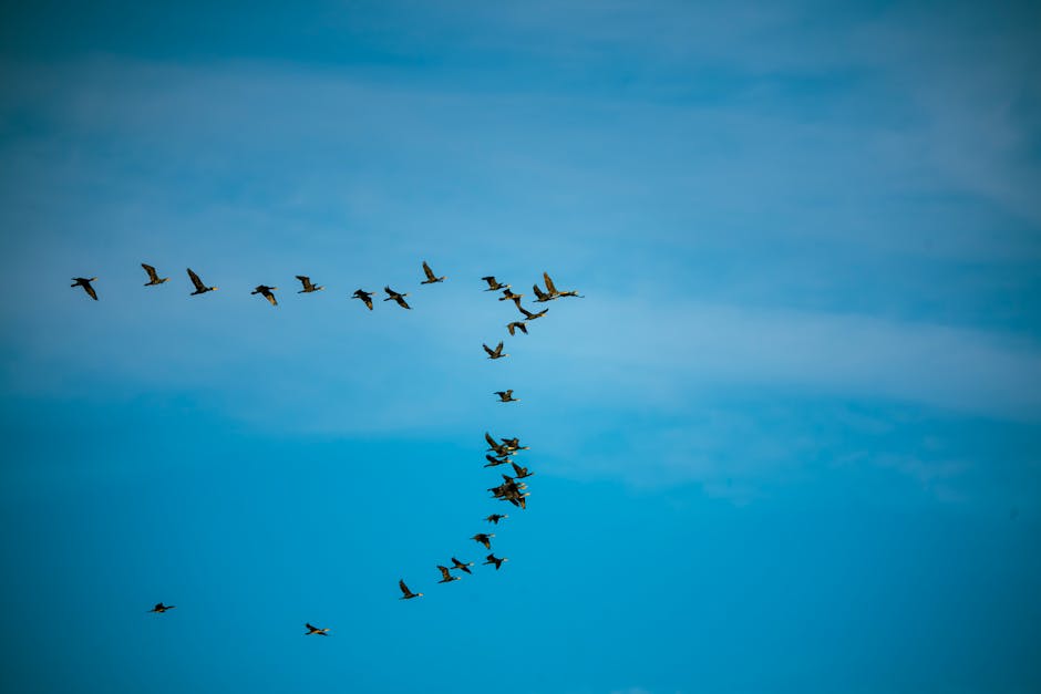 Biyogüvenlik: Görünmeyen Tehditlere Karşı Kalkanımız